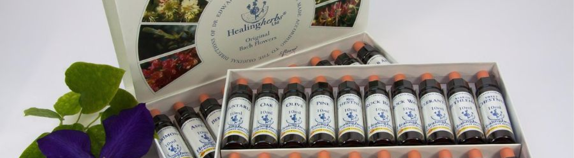 Bach Flower Remedies: Emotional Healing &amp; Balance